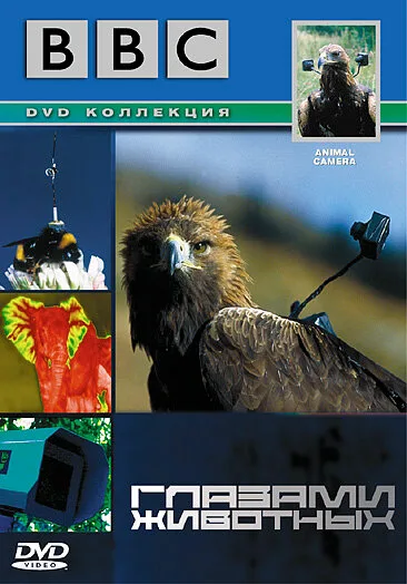 BBC: Глазами животных (сериал 2004)