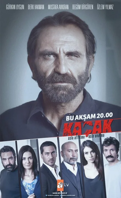 Беглец (сериал 2013)