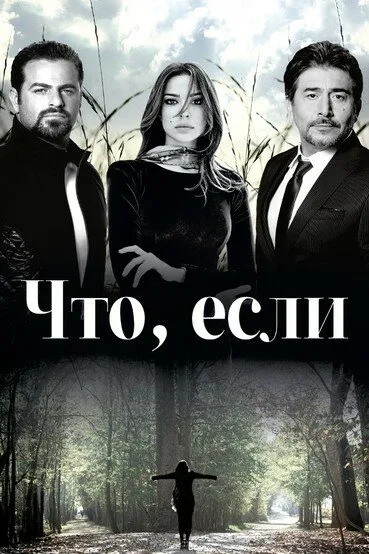Что, если (сериал 2014)