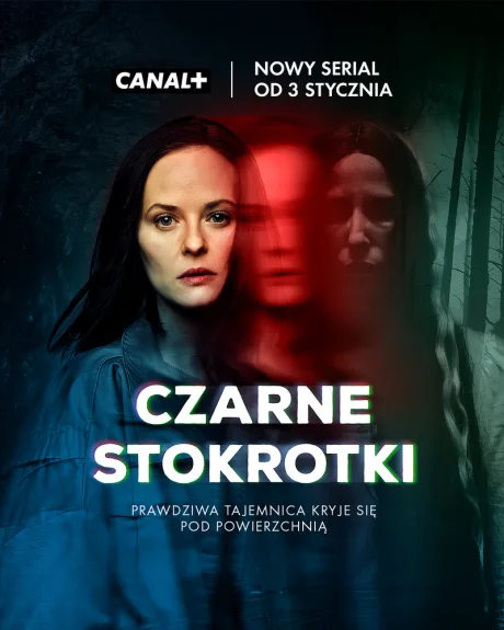 Чёрные маргаритки (сериал 2024)