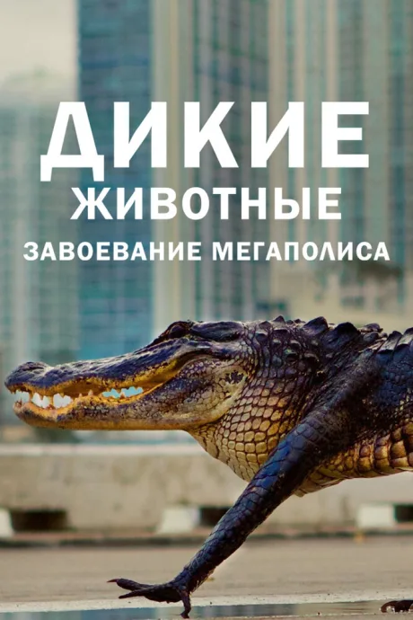 Дикие животные: Завоевание мегаполиса (сериал 2018)