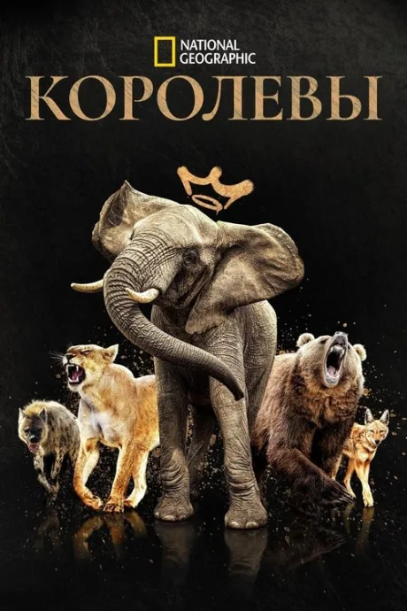 Королевы (сериал 2024)