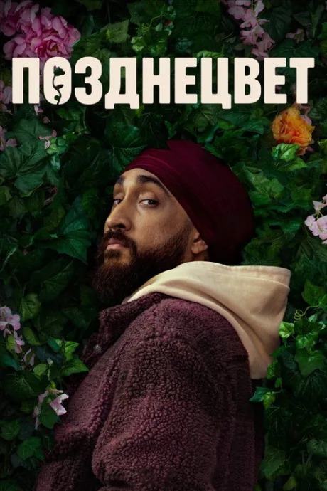 Late Bloomer (сериал 2024)