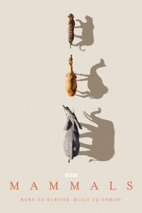 Mammals (сериал 2024)
