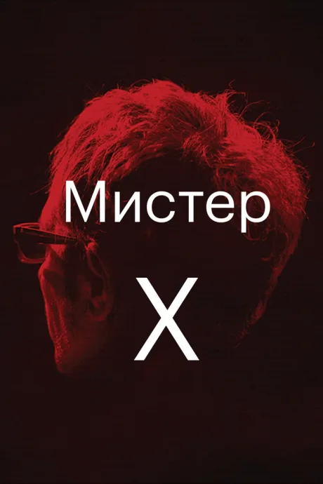 Мистер Икс (2014)