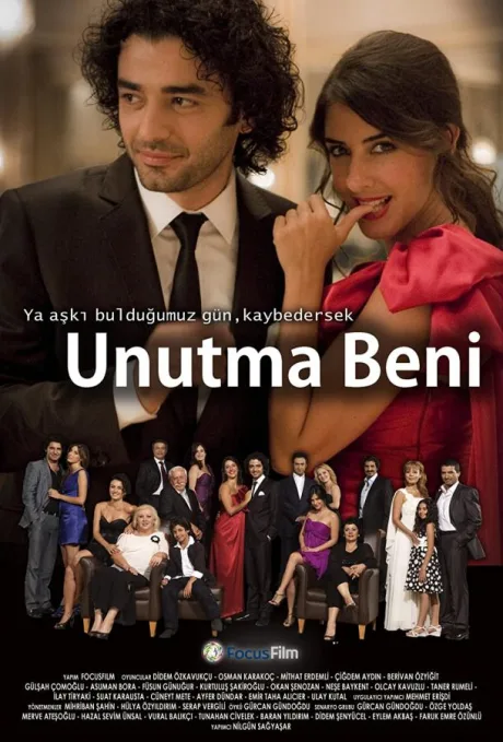 Не забывай меня (сериал 2008)