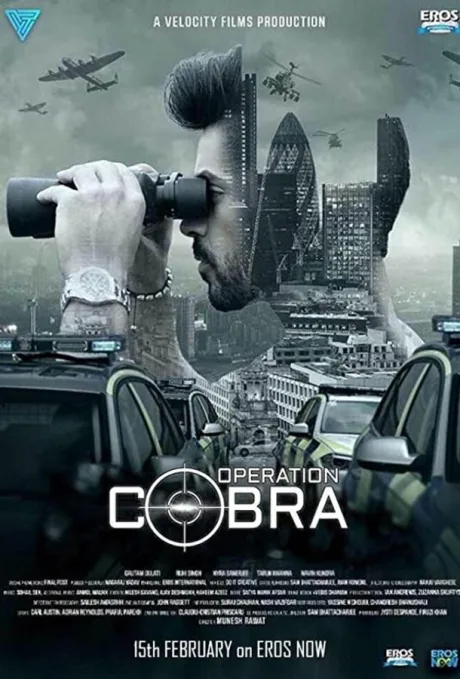Операция кобра (сериал 2019)