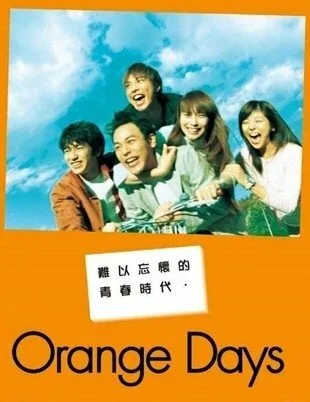 Оранжевые дни (сериал 2004)