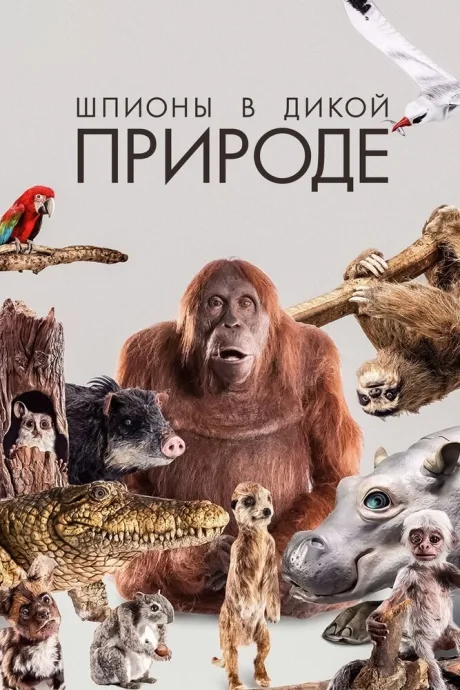 Шпионы в дикой природе (сериал 2017)
