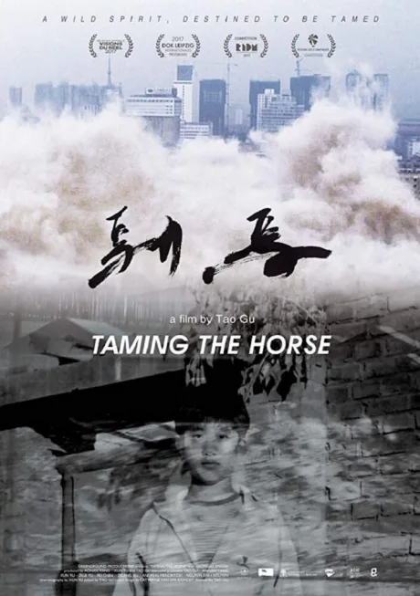 驯马 (2017)