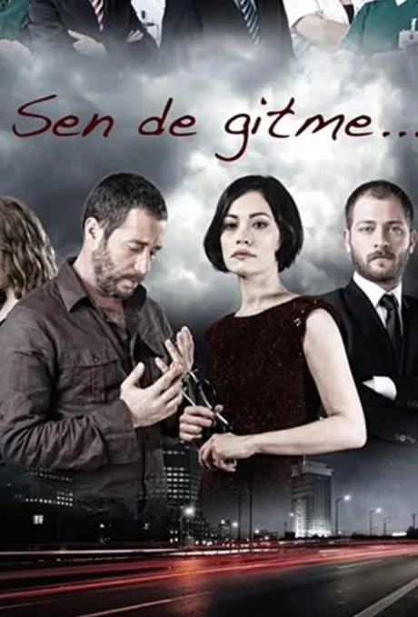 Ты не уходи… (сериал 2011)