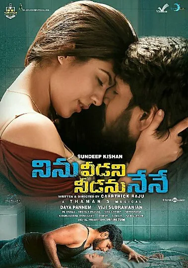 నిను వీడని నీడను నేనే (2019)